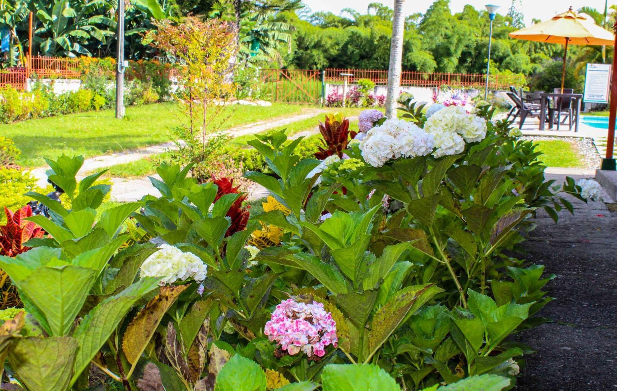 Hotel Campestre La Floresta